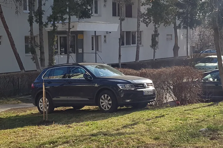 Șofer neamț parcat pe spatiul verde in Gheorgheni - FOTO