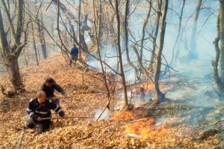 Peste 70 de incendii de vegetație la Cluj. Un bărbat a ajuns inconștient, cu arsuri, la spital FOTO/VIDEO