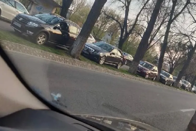 CLUJ: Și-au parcat mașinile în șir indian pe spațiul verde, ca să meargă la concertul lui Andre Rieu FOTO