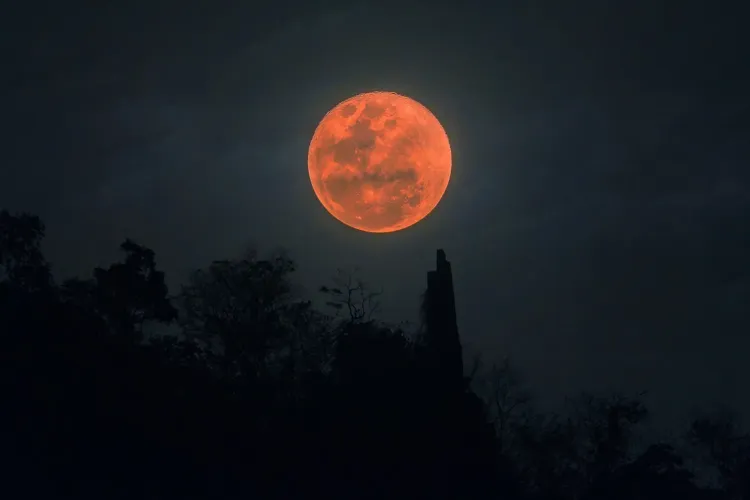 Fenomen astronomic impresionant, vizibil de echinocțiul de primăvară. Ce vei vedea pe cer