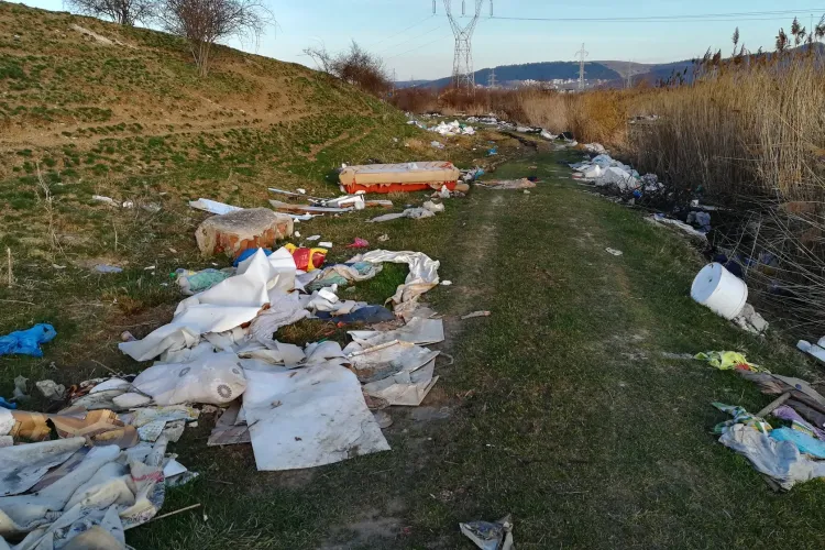 ÎnFlorești pe Malul Someșului, acțiune de igienizare a malurilor - FOTO