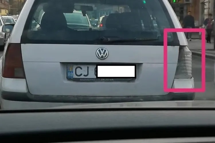 Poza săptămânii la Cluj-Napoca! Pet în loc de stop. Șoferul nu e ”vinitură” - FOTO