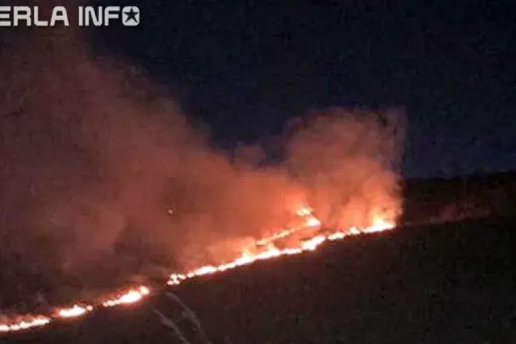 Incendiu masiv pe un deal la ieșire din Gherla FOTO