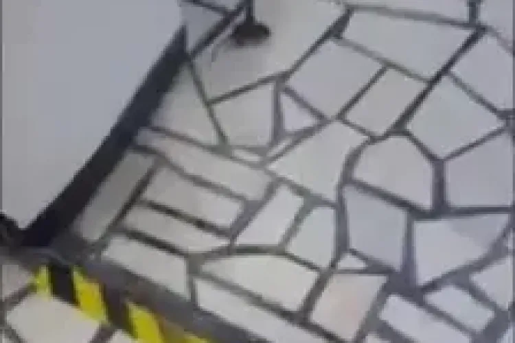 Șoarece filmat în cantina Facultății de Litere, din cadrul UBB Cluj - VIDEO