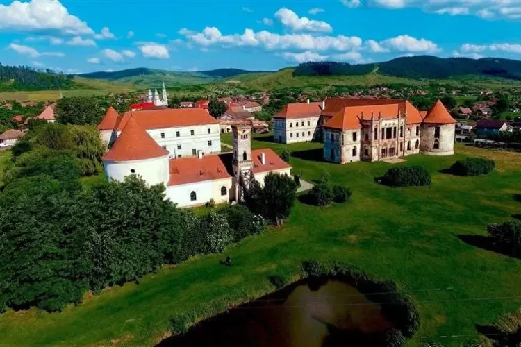 Voluntarii clujeni sunt chemați la o acțiune de împădurire la Bonțida, în zona Castelului Banffy