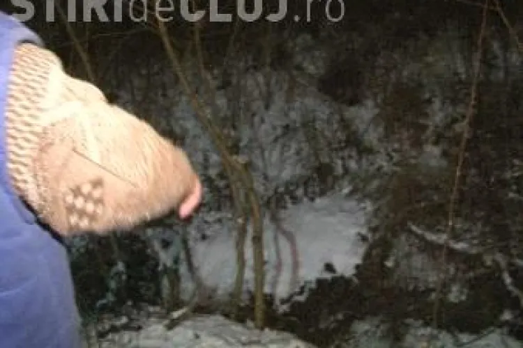 Cadavru mancat de caini in comuna Nima, langa Dej - VIDEO
