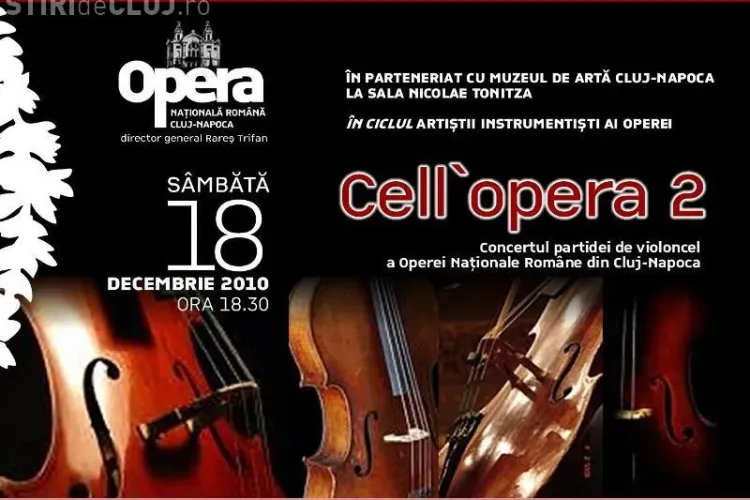 Concert de vioara la Muzeul de Arta din Cluj, sambata, de la ora 18.30