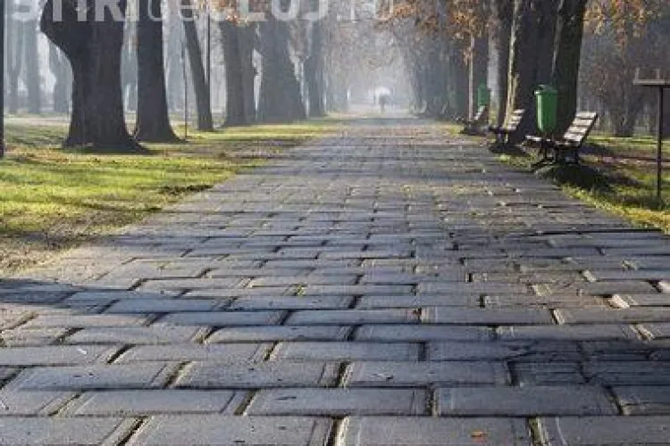Doua firme se lupta pentru modernzarea Parcului central "Simion Barnutiu"! Vezi cati bani cer pentru lucrare