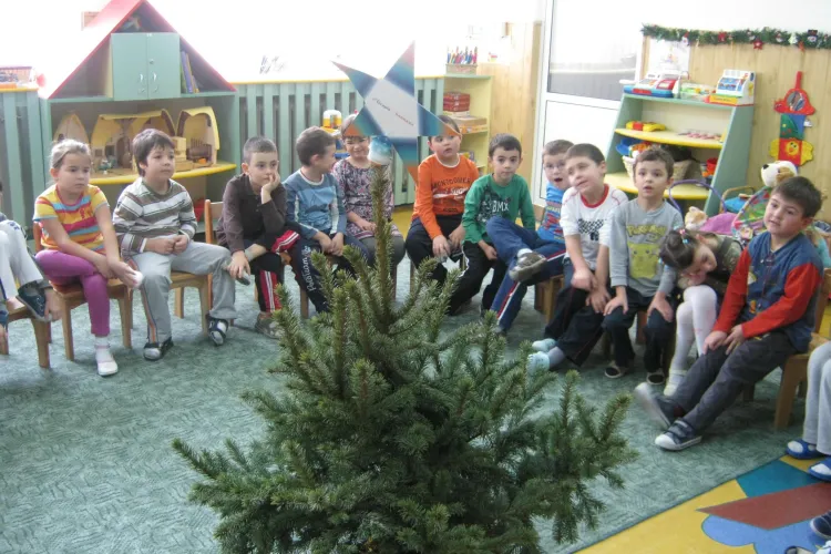 61 de gradinite din Cluj Napoca au primit gratuit cate un brad in ghiveci - FOTO