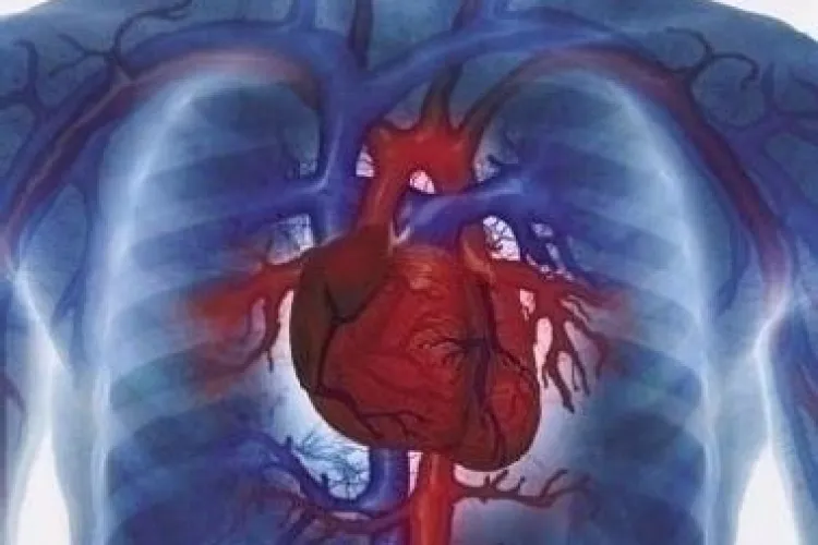 Institutul Inimii din Cluj va face implanturi de inima artificiala 