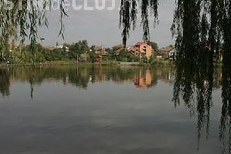 O femeie a cazut in lacul Gheorgheni, in timp ce incerca sa isi salveze cainele din apa inghetata!