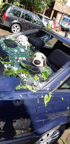 WhatsApp Image 2019-05-28 at 16.40.18.jpeg