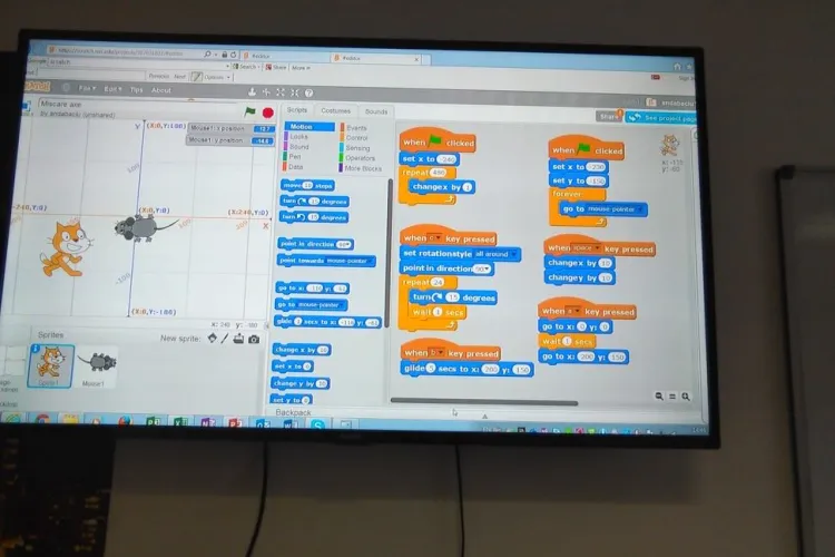 Mind Generation - Tabere urbane și cursuri de matematică și informatică pentru copii la Cluj
