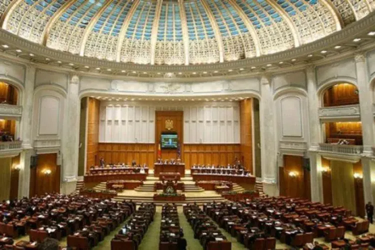 PNL vrea să depună moțiune de cenzură împotriva guvernului Dăncilă