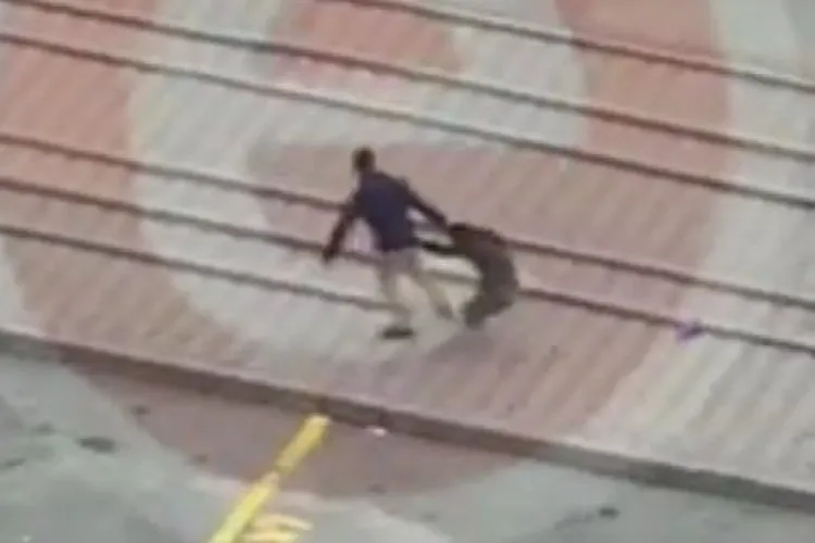 Scene halucinante surprinse pe stradă, în România. O femeie a fost bătută și aruncată într-un tomberon VIDEO