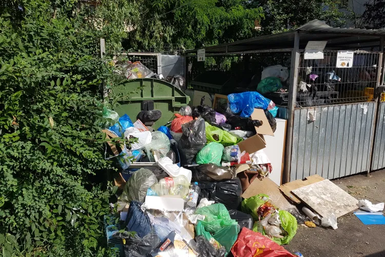 Firmele de salubritate din Cluj-Napoca, amendate cu 20.000 de lei. Boc: Urmeaza populatia