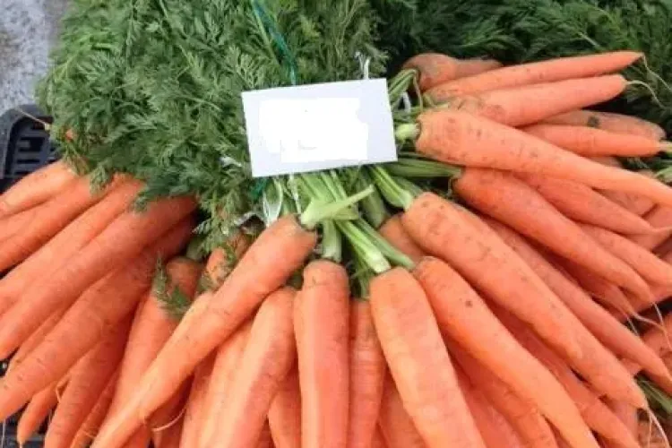 Centrul Agro Transilvania, cea mai ieftină piață din județul Cluj - PREȚURI