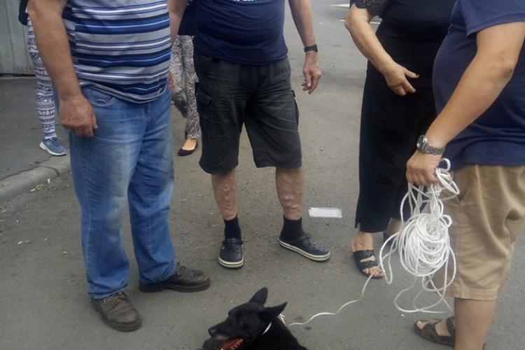 Câine tras după mașină în Mărăști. Clujenii au luat atitudine - FOTO