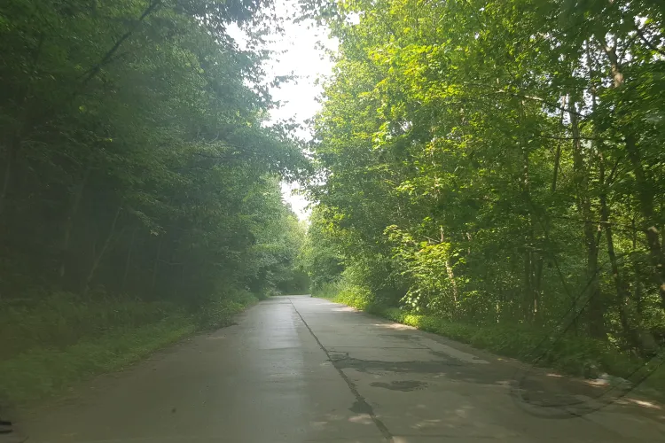 Rușinos! Drumurile din zona de munte a județului Cluj sunt complet distruse - FOTO