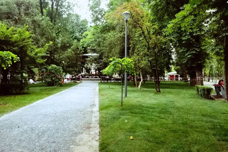 Organizatorii Jazz in the Park au replantat 1.000 de metri pătrați de iarbă în Parcul Central FOTO