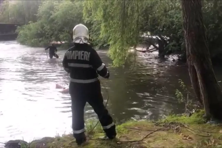 Înecat găsit pe Someș, în zona Plevnei, în zona industrială a Clujului - VIDEO