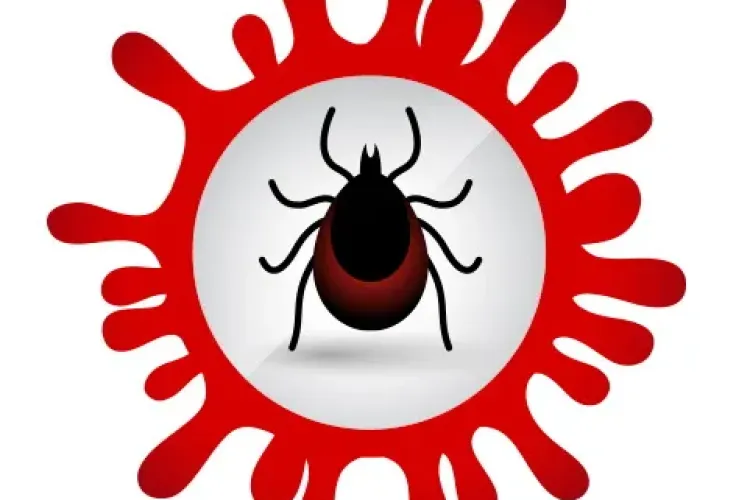 Profesorii de la USAMV Cluj au dezvoltat o aplicație / hartă cu arealul căpușelor și al țânțarilor din România