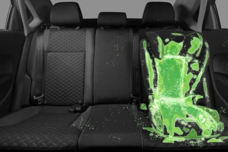 Cât de curat este scaunul copilului din mașina ta