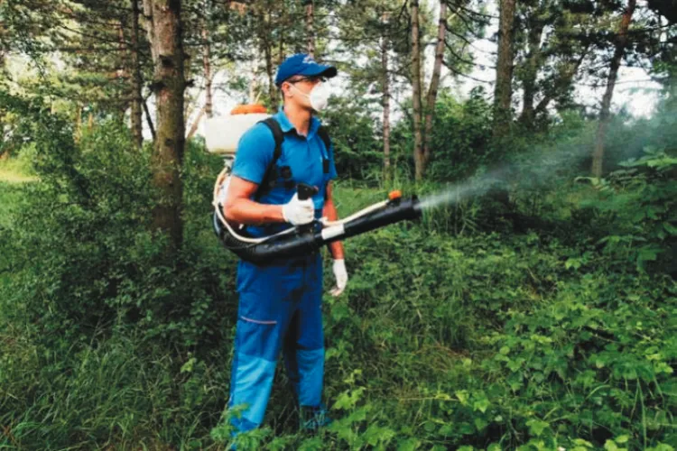 Cluj-Napoca: O nouă etapă de dezinsecție făcută de Coral