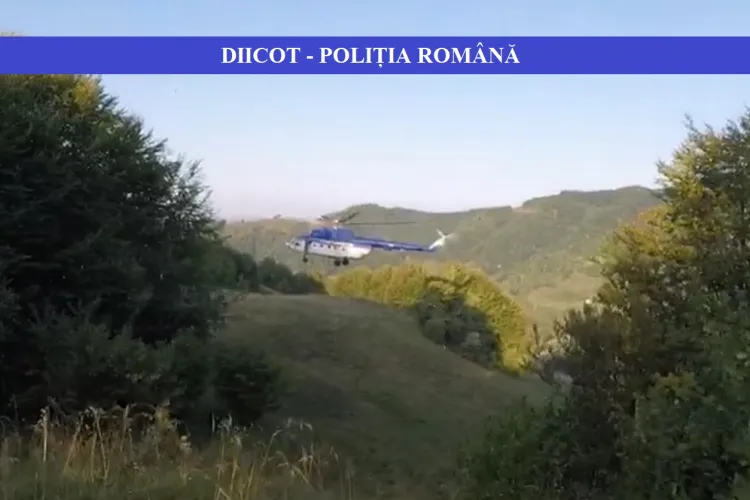 Polițiști și jandarmi din Cluj la percheziții în Maramureș. Copii din Germania, ținuți în sclavie, în ”Projekt Maramureş”