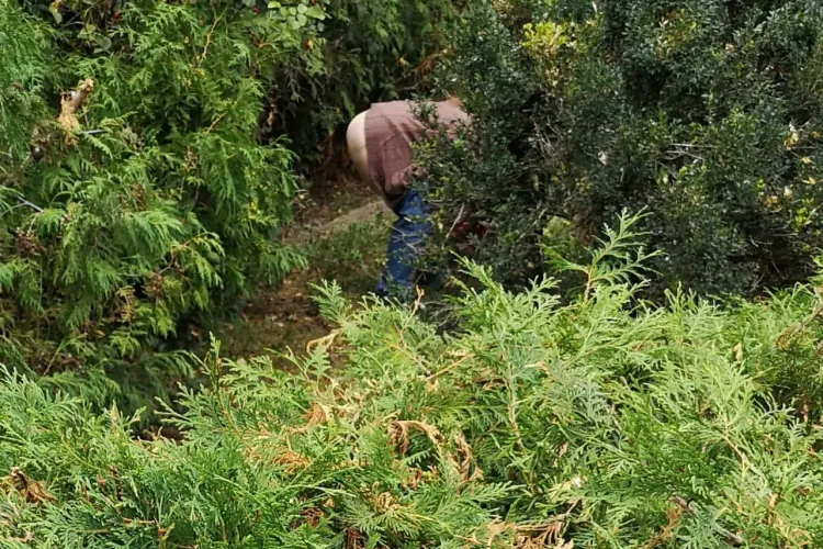 Cluj-Napoca, 5 stele de educație. Și-a făcut ”treburile” în boscheți, lângă statuia lui Cuza - FOTO 