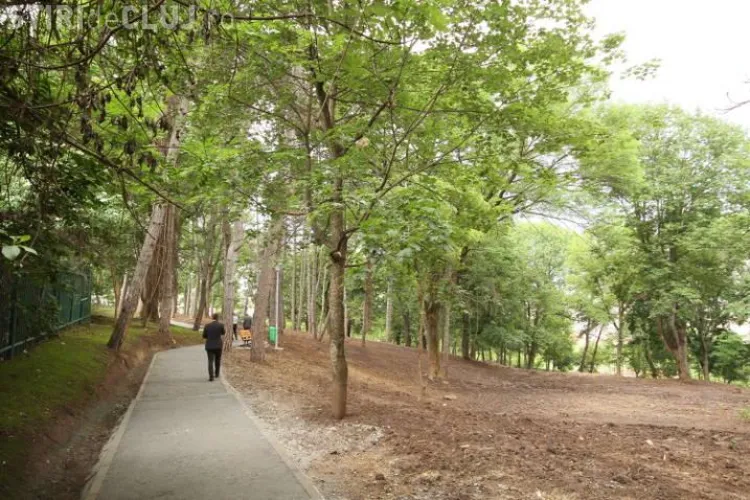 Pervers semnalat pe aleea dintre Parcul Prodan și Cimitirul Zorilor - Mănăștur