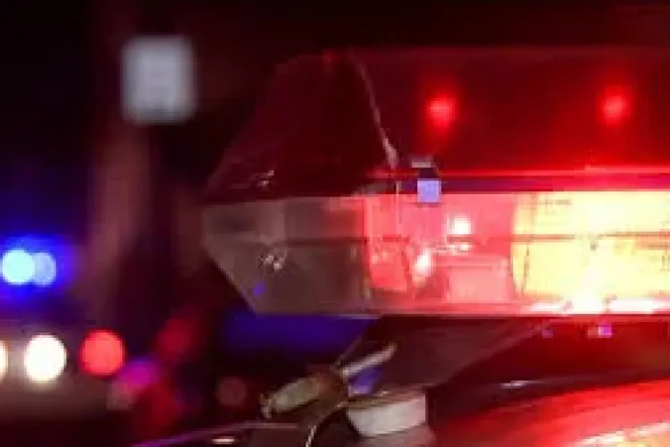 Șofer aproape în comă alcoolică urmărit în trafic de polițiști! A fost pus în spatele gratiilor