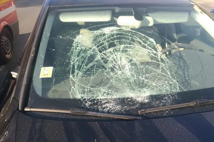 Adolescentă lovită de mașină pe strada Frunzișului. A încercat să salveze o pisică FOTO