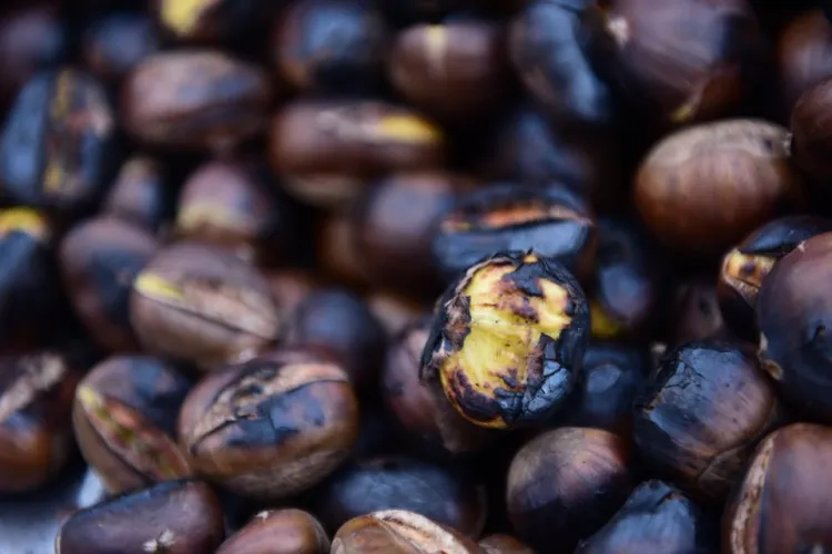 Festivalul Castane 2019, din Baia Mare, audiență de zeci de mii de persoane 