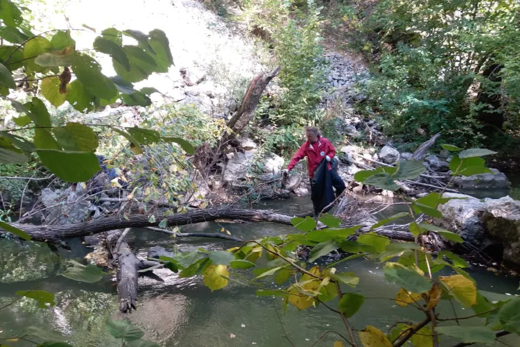 Acțiune de ecologizare în Cheile Turzii - FOTO