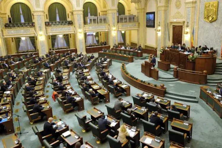 Senatorii nu sunt de acord cu alegerea primarilor în două tururi