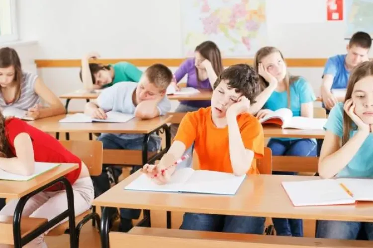 Fostul ministru al Educației, Mircea Miclea, despre reducerea numărului de ore. Pune punctul pe ”i”