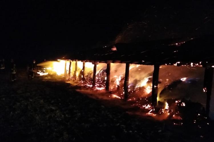 Incendiu la un saivan pentru animale din Călățele. Au murit 11 bovine - VIDEO