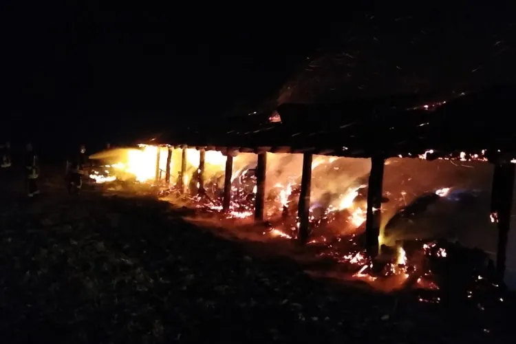Incendiu la un saivan pentru animale din Călățele. Au murit 11 bovine - VIDEO