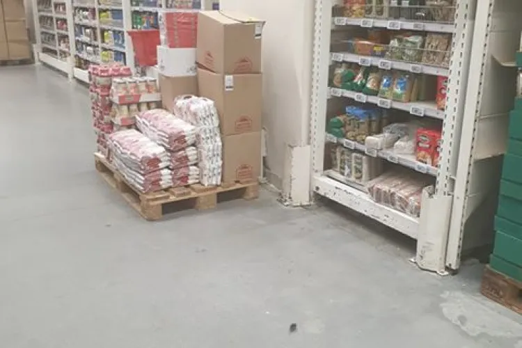 Șoarece între rafturi la Auchan Cluj - FOTO