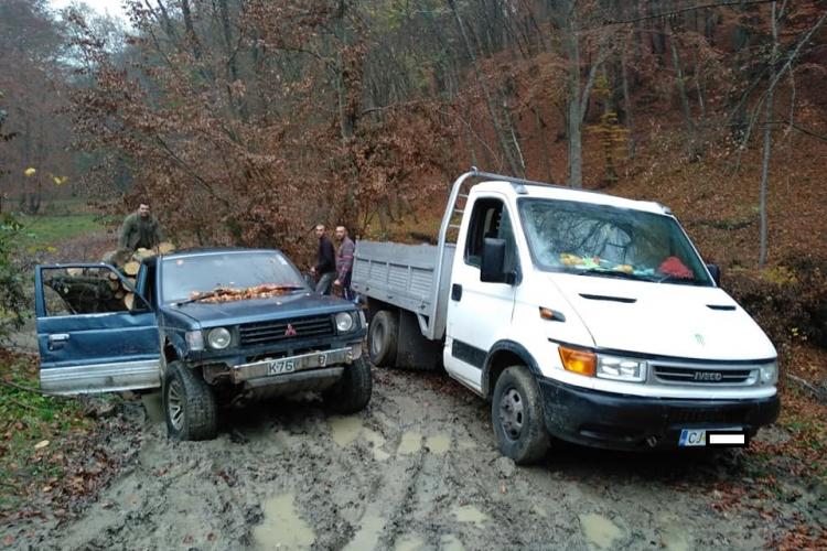 Clujean amenințat cu drujbele în Pădurea Făget / UPDATE: Poliția Cluj spune că se tăia legal - FOTO