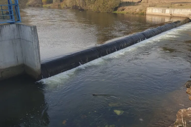ABAST derulează o campanie de salubrizare a râului Someș la Florești - FOTO