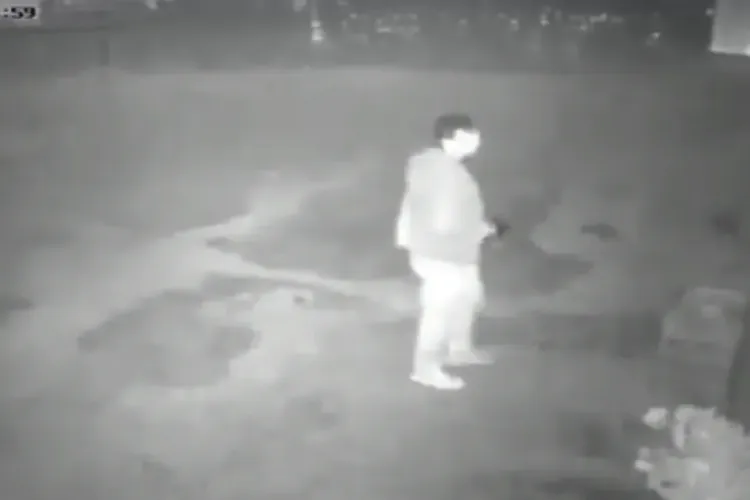 Spărgător filmat în acțiune la un laborator de dulciuri din Cluj-Napoca - VIDEO