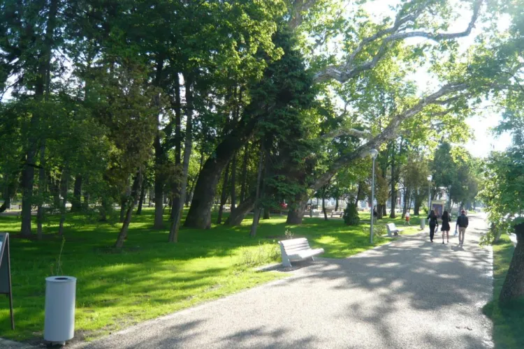 În Parcul Central din Cluj-Napoca se pune sistem de irigații prin Wi-fi. Costă cât un sfert de creșă nouă