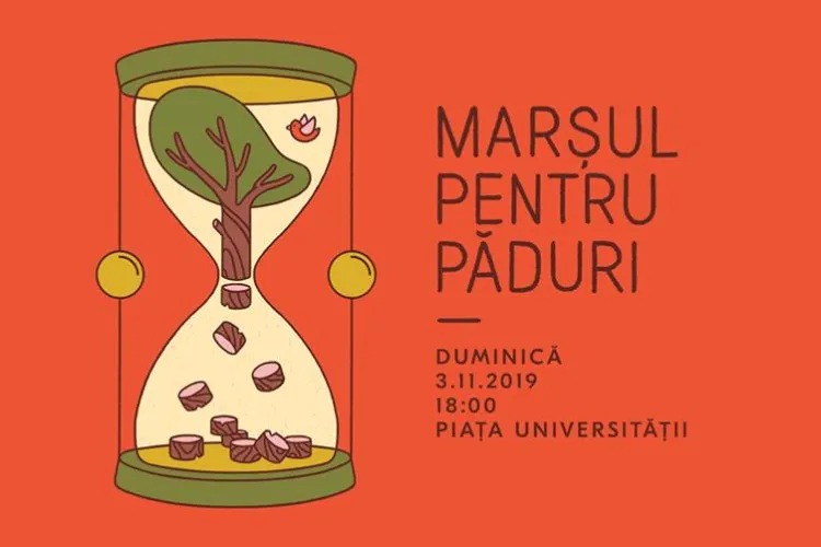 Studiourile de dans din Cluj se reunesc pentru un flashmob masiv în centrul orașului, în deschiderea Marșului pentru Păduri