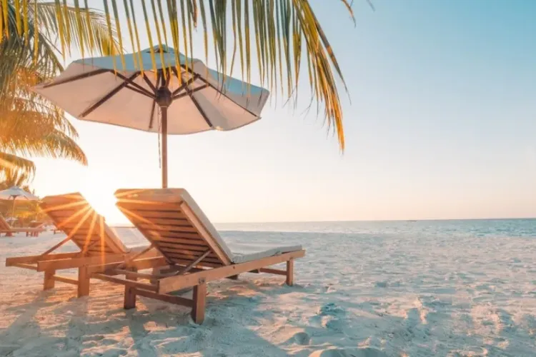 Anunțul ministrului Economiei despre tichetele de vacanță