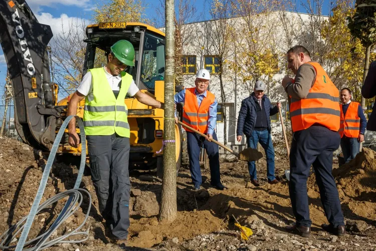 Boc a plantat primii copaci din Parcul Între Lacuri - FOTO