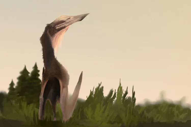 Albadraco – ”dragonul zburător” din Transilvania, descoperire importantă a unei echipe din care a făcut parte și UBB Cluj