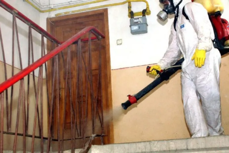 La Timișoara, unde au murit trei persoane după o deratizare, s-a constatat prezența unei substanțe neurotoxice