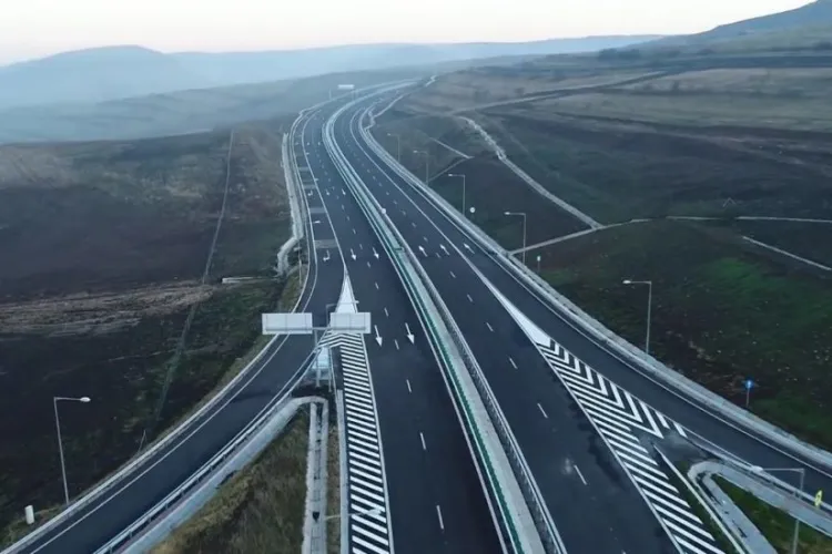 Urs lovit de mașină pe Autostrada Transilvania, Turda - Borș